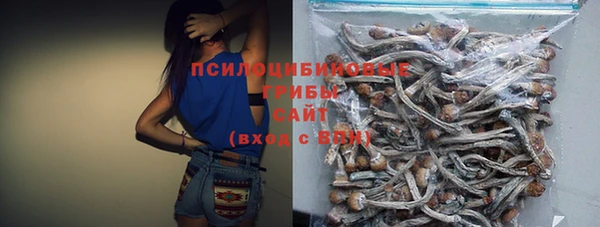 PSILOCYBIN Белокуриха