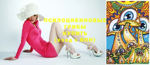 PSILOCYBIN Белокуриха