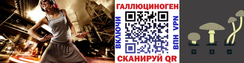 Псилоцибиновые грибы Psilocybine cubensis  это клад  Куровское 